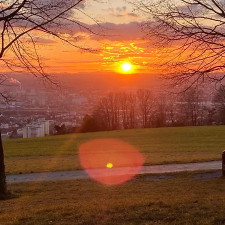 Gemuetlich Wohnen Nahe Basel Appartement Lörrach Buitenkant foto